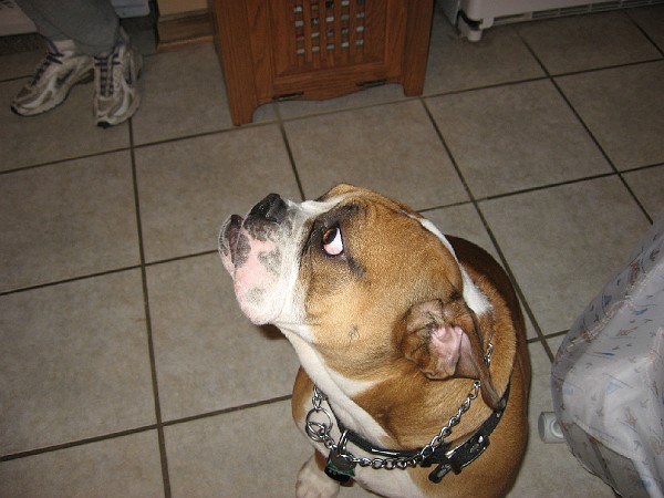 december08 034.jpg